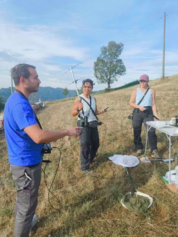 VERGATO (BO) – Lotta alla Vespa velutina: individuato e rimosso con successo un nido nell’Appennino bolognese